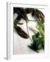 Lobster, Asparagus, Sorrel, Watercress, Mangetout-Eising Studio - Food Photo and Video-Framed Photographic Print