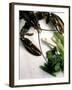 Lobster, Asparagus, Sorrel, Watercress, Mangetout-Eising Studio - Food Photo and Video-Framed Photographic Print