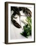 Lobster, Asparagus, Sorrel, Watercress, Mangetout-Eising Studio - Food Photo and Video-Framed Photographic Print