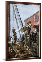 Lobster-Boat Unloaded Along a Maine Pier, circa 1880-null-Framed Giclee Print