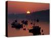 Lobster Boats in Harbor at Sunrise, Stonington, Maine, USA-Joanne Wells-Stretched Canvas