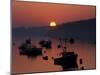 Lobster Boats in Harbor at Sunrise, Stonington, Maine, USA-Joanne Wells-Mounted Premium Photographic Print