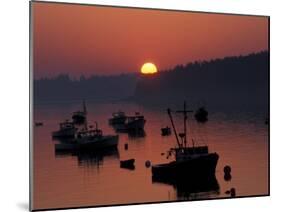 Lobster Boats in Harbor at Sunrise, Stonington, Maine, USA-Joanne Wells-Mounted Premium Photographic Print