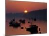 Lobster Boats in Harbor at Sunrise, Stonington, Maine, USA-Joanne Wells-Mounted Photographic Print