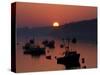 Lobster Boats in Harbor at Sunrise, Stonington, Maine, USA-Joanne Wells-Stretched Canvas