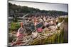 Lobster buoys, Lobster Cove, Annisquam, Cape Ann, Essex County, Massachusetts, USA-null-Mounted Photographic Print