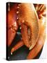 Lobster Claws-Winfried Heinze-Stretched Canvas