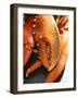 Lobster Claws-Winfried Heinze-Framed Photographic Print