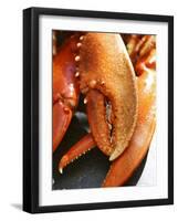 Lobster Claws-Winfried Heinze-Framed Photographic Print