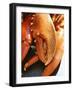 Lobster Claws-Winfried Heinze-Framed Photographic Print