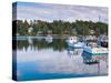 Lobster Fishing Boats, Boothbay Harbor, Maine, New England, United States of America, North America-Alan Copson-Stretched Canvas