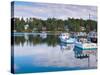 Lobster Fishing Boats, Boothbay Harbor, Maine, New England, United States of America, North America-Alan Copson-Stretched Canvas