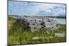 Lobster Fishing Traps in Port Au Choix, Newfoundland, Canada, North America-Michael Runkel-Mounted Photographic Print