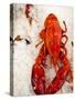 Lobster For Sale in Alma, New Brunswick, Canada, North America-Michael DeFreitas-Stretched Canvas