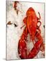 Lobster For Sale in Alma, New Brunswick, Canada, North America-Michael DeFreitas-Mounted Photographic Print