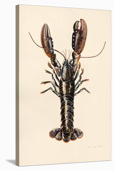 Lobster from Solva, 2014-Alison Cooper-Stretched Canvas