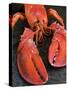 Lobster (Homarus Americanus)-Nico Tondini-Stretched Canvas