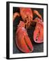 Lobster (Homarus Americanus)-Nico Tondini-Framed Premium Photographic Print