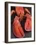 Lobster (Homarus Americanus)-Nico Tondini-Framed Photographic Print