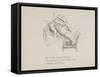 Lobster Mending Clothes, Nonsense Botany Animals and Other Poems Written and Drawn by Edward Lear-Edward Lear-Framed Stretched Canvas