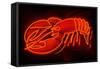 Lobster Neon Sign-Lantern Press-Framed Stretched Canvas