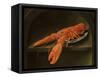 Lobster on a Delft Dish-Charles Collins-Framed Stretched Canvas