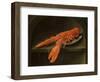 Lobster on a Delft Dish-Charles Collins-Framed Giclee Print