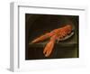 Lobster on a Delft Dish-Charles Collins-Framed Giclee Print