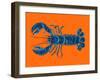 Lobster on Orange-Alice Straker-Framed Photographic Print