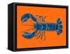 Lobster on Orange-Alice Straker-Framed Stretched Canvas