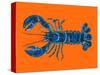 Lobster on Orange-Alice Straker-Stretched Canvas