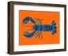 Lobster on Orange-Alice Straker-Framed Photographic Print