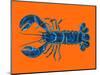 Lobster on Orange-Alice Straker-Mounted Photographic Print
