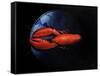 Lobster on Tiffany Plate-Lincoln Seligman-Framed Stretched Canvas