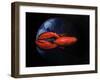 Lobster on Tiffany Plate-Lincoln Seligman-Framed Giclee Print