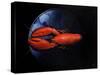 Lobster on Tiffany Plate-Lincoln Seligman-Stretched Canvas