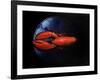 Lobster on Tiffany Plate-Lincoln Seligman-Framed Giclee Print