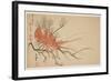 Lobster, Plum and Pine Branch, C.1818-Shibata Git?-Framed Giclee Print