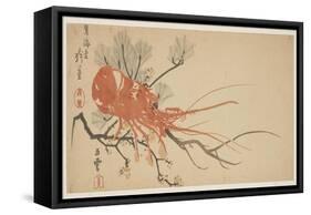 Lobster, Plum and Pine Branch, C.1818-Shibata Git?-Framed Stretched Canvas