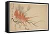 Lobster, Plum and Pine Branch, C.1818-Shibata Git?-Framed Stretched Canvas