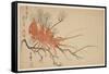 Lobster, Plum and Pine Branch, C.1818-Shibata Git?-Framed Stretched Canvas