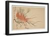 Lobster, Plum and Pine Branch, C.1818-Shibata Git?-Framed Giclee Print