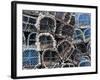 Lobster Pots in Fishing Harbour at Loguivy, Cote De Granit Rose, Cotes d'Armor, Brittany, France-David Hughes-Framed Photographic Print