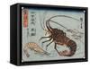 Lobster, Prawn and Shrimps, 1830-1844-Utagawa Hiroshige-Framed Stretched Canvas