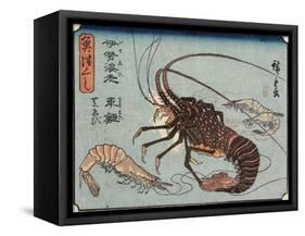 Lobster, Prawn and Shrimps, 1830-1844-Utagawa Hiroshige-Framed Stretched Canvas