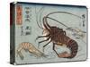 Lobster, Prawn and Shrimps, 1830-1844-Utagawa Hiroshige-Stretched Canvas