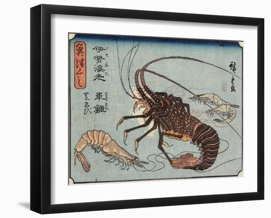 Lobster, Prawn and Shrimps, 1830-1844-Utagawa Hiroshige-Framed Giclee Print