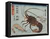 Lobster, Prawn and Shrimps, 1830-1844-Utagawa Hiroshige-Framed Stretched Canvas