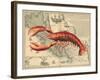 Lobster print on Nautical Map-Fab Funky-Framed Art Print