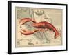 Lobster print on Nautical Map-Fab Funky-Framed Art Print